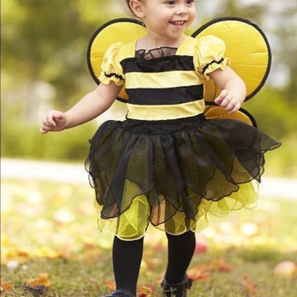 Bee costumes